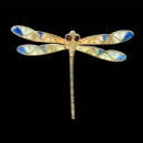 Life Collection Pin 61Q5 jewelry